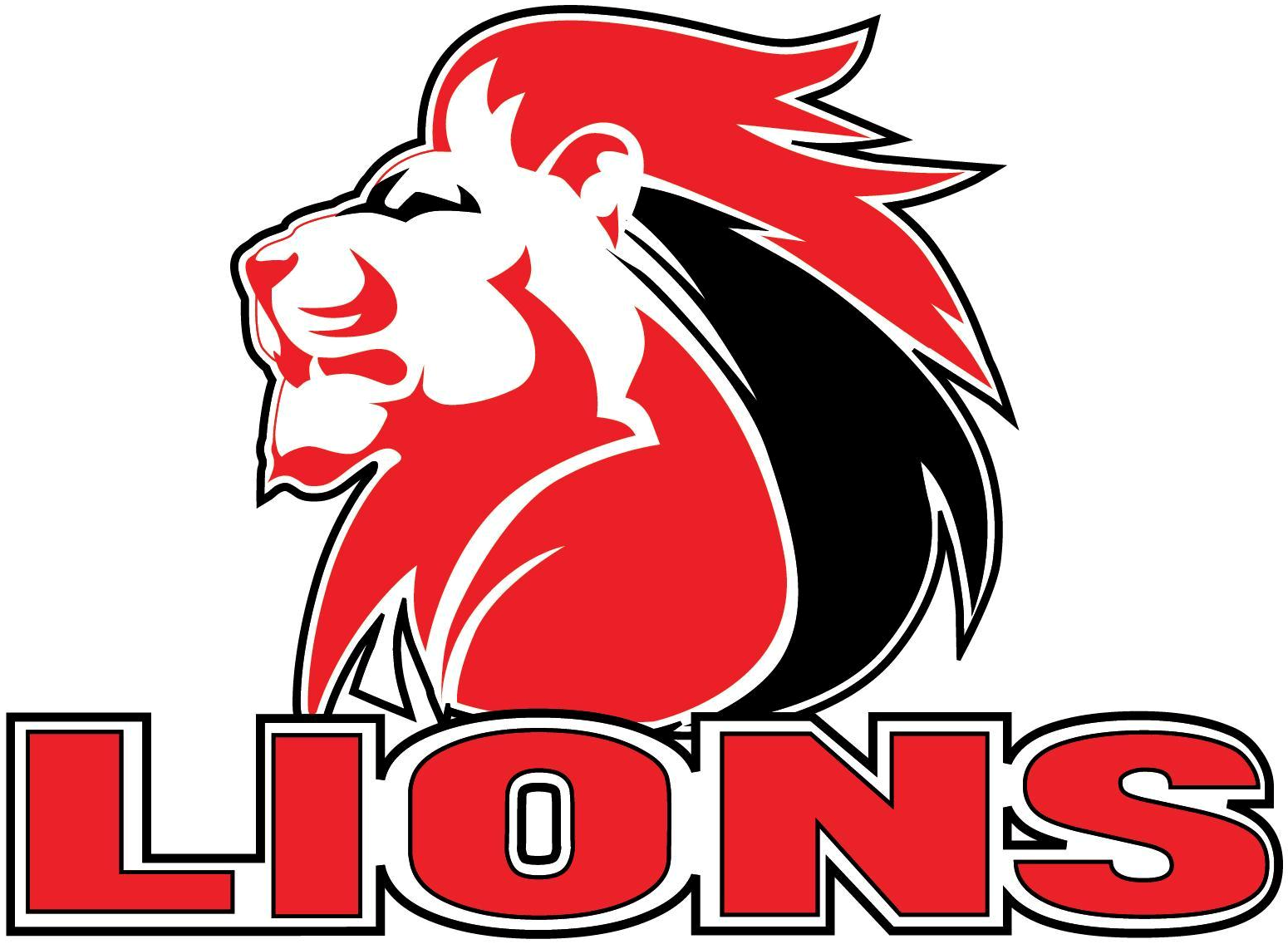 Lions 1996-Pres Primary Logo vinyl decal